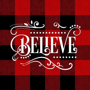 Believe on Red Plaid - 18 inch square sham