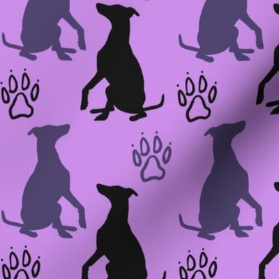 Whippet shadows - purple