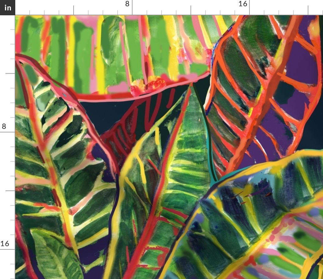 Flamboyant Croton Leaves3-with red