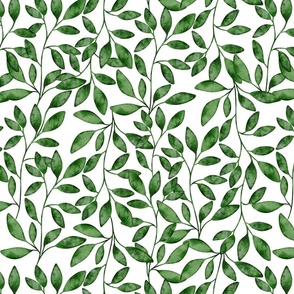 Watercolor leaves. Green branches. floral pattern.  Modern farmhouse. 