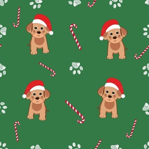 Cute lovely dog with santa claus hat and candy. White doodle paw prints with green background seamless pattern