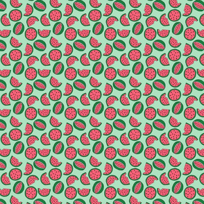 Ditzy Watermelons on Green - Small