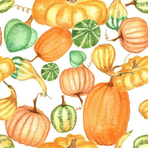 It's Decorative Gourd Season