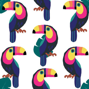 Colorful Toucans