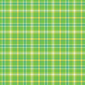 Bright Green Plaid with Blue and Yellow