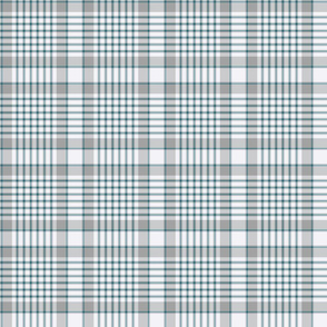 Gray and Blue Masculine Plaid