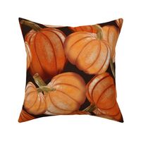 Fall Pumpkins-Large Scale
