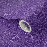 large Paisley Positivity purple 2