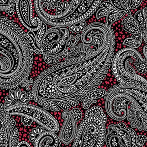 small Paisley Positivity black red white 2