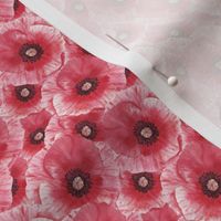 Single Poppy Flower Pattern