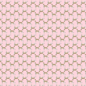 Cheetah Simple Pattern On Pink Blush