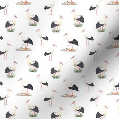 Stork Pattern On White