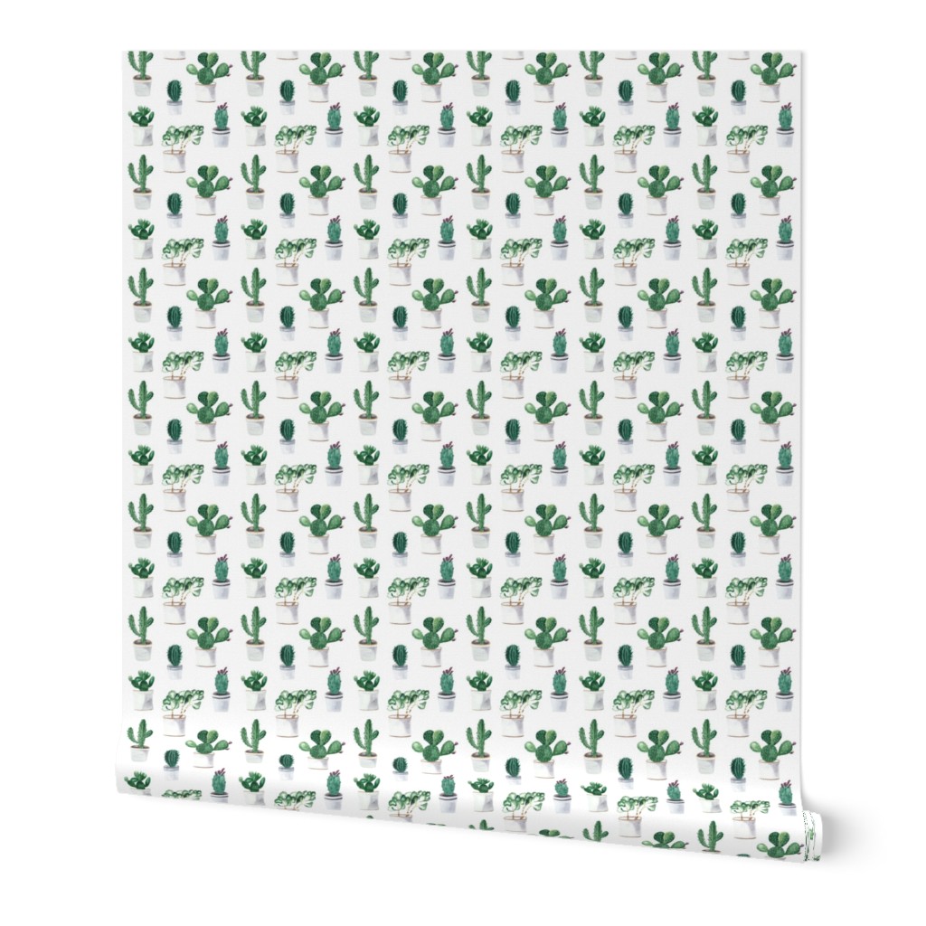 Cactuses Pattern On White