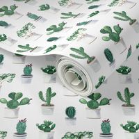 Cactuses Pattern On White