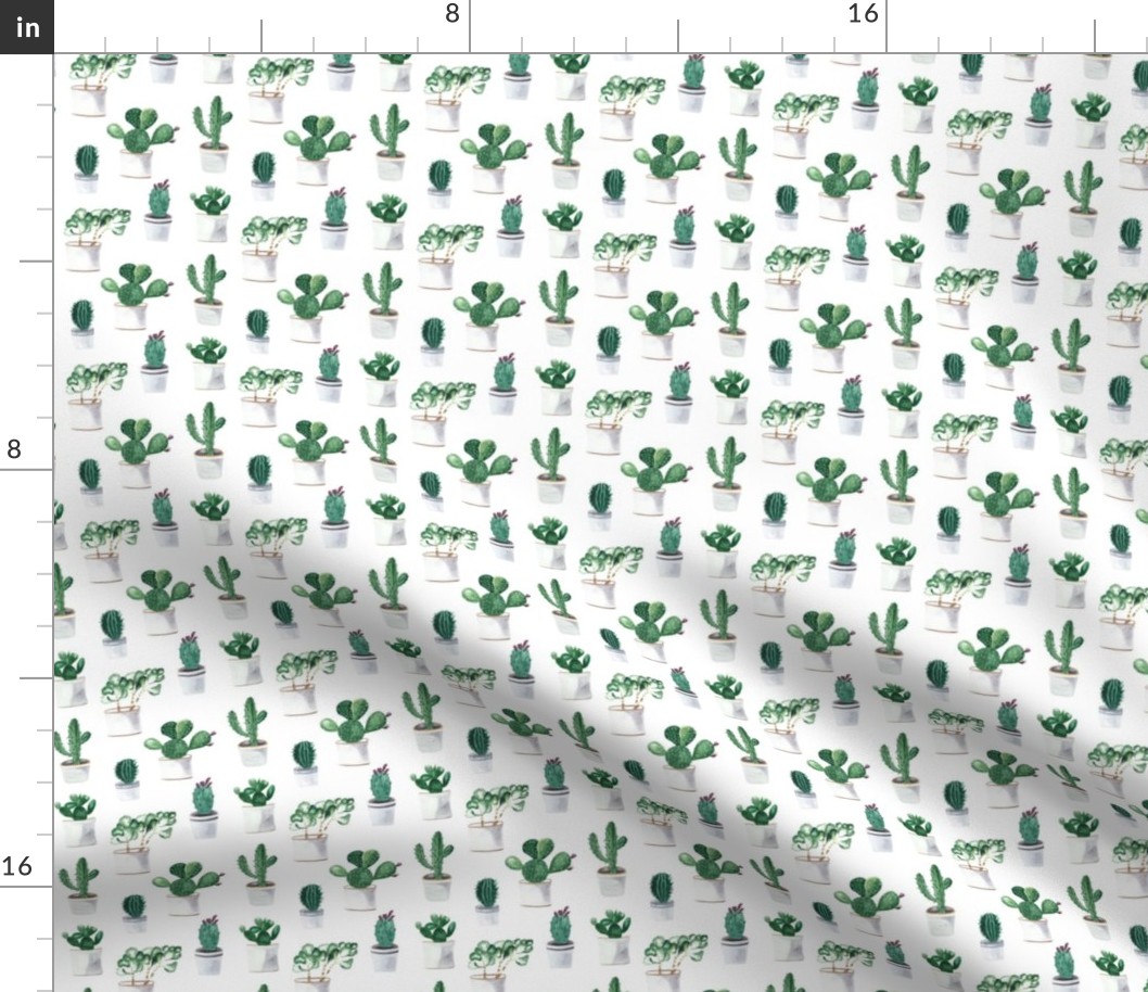 Cactuses Pattern On White