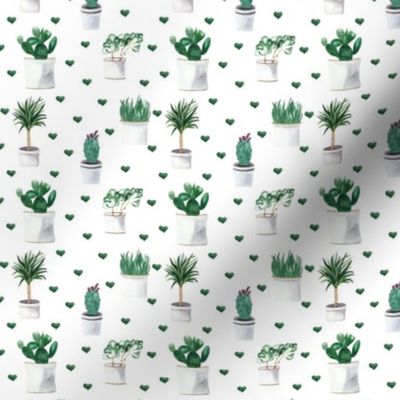 Plants With Hearts Pattern On White