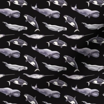 Whales Pattern Dark