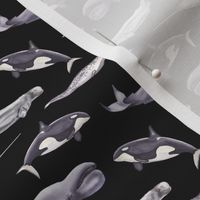 Whales Pattern Dark