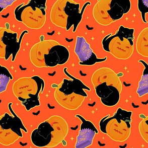 Pumpkin Patch Kitties