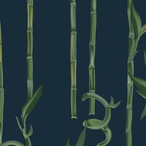 Bamboo grass evergreen 