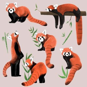 Red pandas