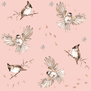 flying birds-blush