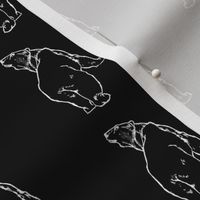 Polar Bears in Black & White with Black Background (Small Scale)