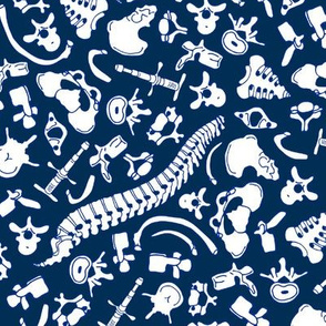 Chiropractic Bones, 14 inch, navy