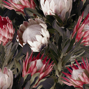 Sugarbush Protea Floral in Muted Tones - large