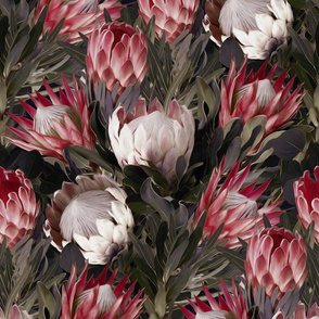 Sugarbush Protea Floral in Muted Tones - medium