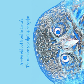 Wise old owl - blue 