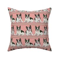 Two Happy French Bulldog Pups on Pink Stripe