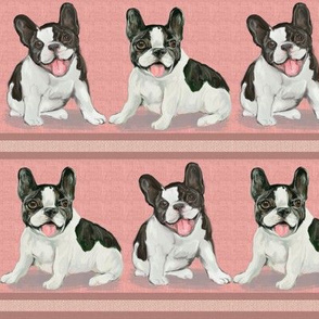 Two Happy French Bulldog Pups on Pink Stripe