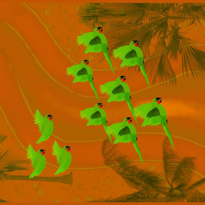 Green Monk Parakeets on Orange