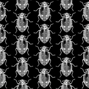 Ladybug Art Pattern in Black & White with Black Background (Small Scale)