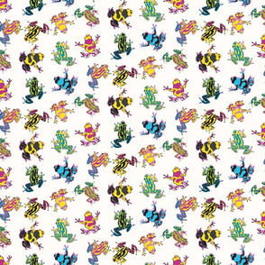 Colorful frogs on white