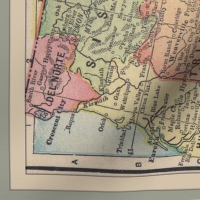 1899 California map, large yard