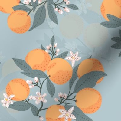 Large // blooming Citrus oranges on blue