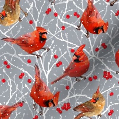 Snowy Cardinal Love | Small | Cool Gray