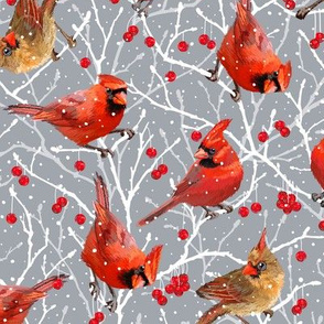 Snowy Cardinal Love | Small | Cool Gray