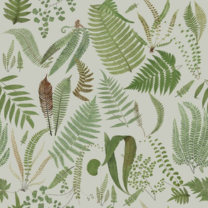 ferns of a feather on buff