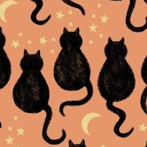 Magic Cats