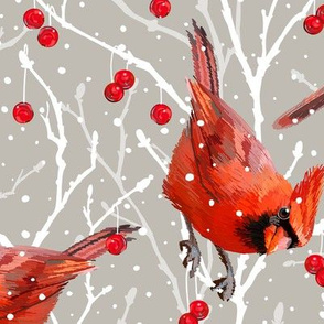 Snowy Cardinal Love | Fresh Mushroom Grey