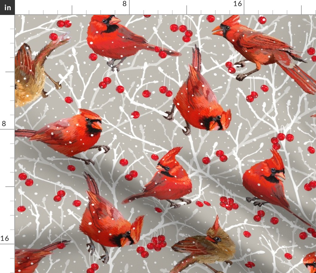 Snowy Cardinal Love | Fresh Mushroom Grey