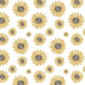 Sunflowers