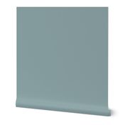 pale teal // SOLIDS 