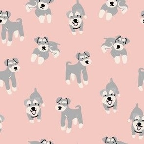 Grey Schnauzer dog on pink