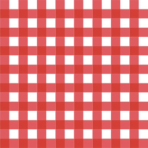 Christmas Red Gingham