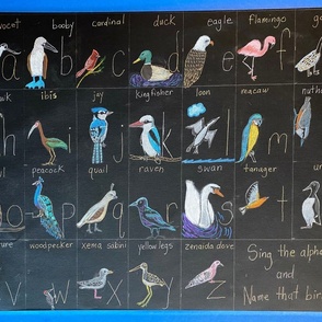 Bird alphabet