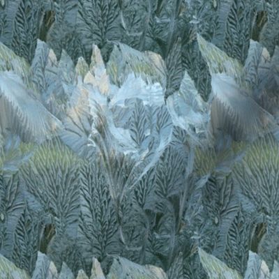 Iced Leaves over hills